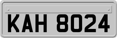 KAH8024