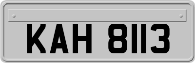 KAH8113
