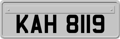KAH8119