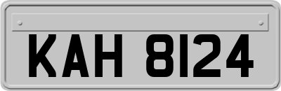 KAH8124