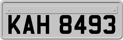 KAH8493