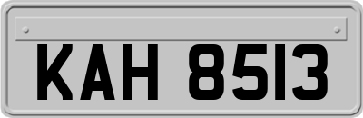KAH8513