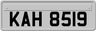 KAH8519