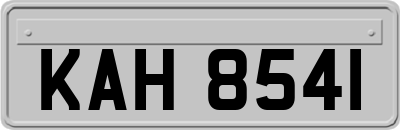 KAH8541