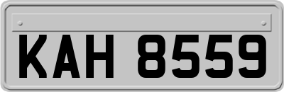 KAH8559