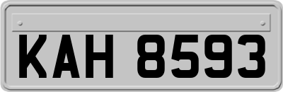 KAH8593