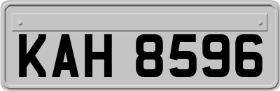KAH8596