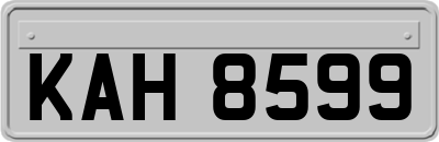 KAH8599