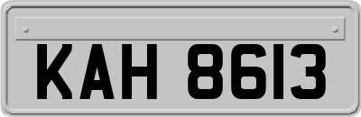 KAH8613
