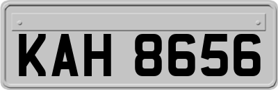 KAH8656