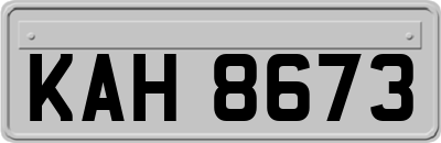 KAH8673
