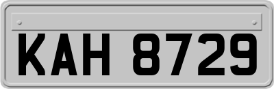 KAH8729