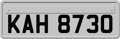 KAH8730
