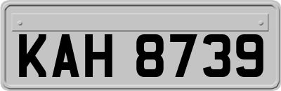 KAH8739