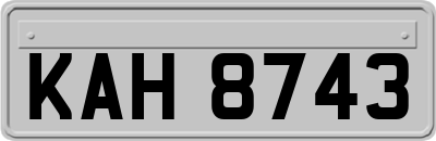 KAH8743
