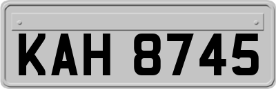 KAH8745