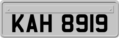 KAH8919