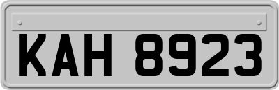 KAH8923