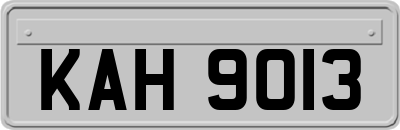 KAH9013