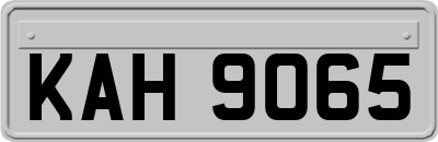 KAH9065