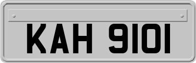 KAH9101