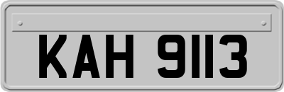KAH9113