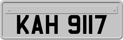 KAH9117