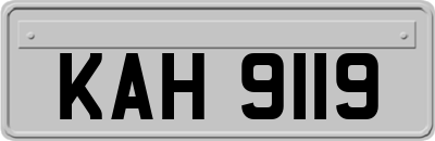 KAH9119