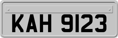 KAH9123