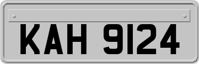 KAH9124