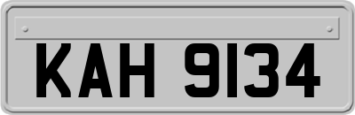 KAH9134