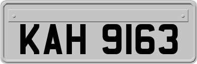 KAH9163