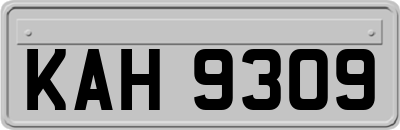 KAH9309