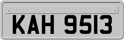 KAH9513