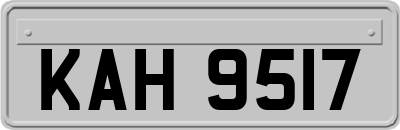 KAH9517
