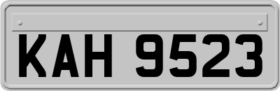 KAH9523
