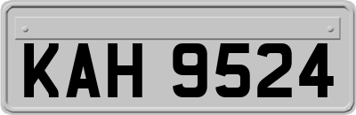 KAH9524
