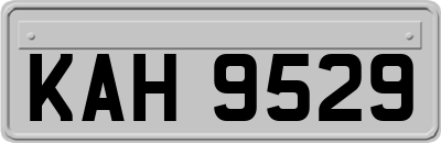 KAH9529