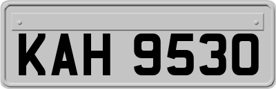 KAH9530