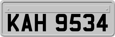 KAH9534