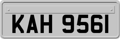 KAH9561