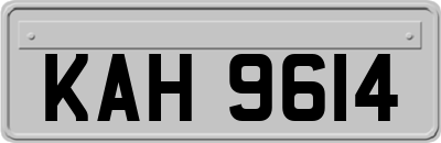 KAH9614