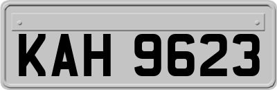 KAH9623