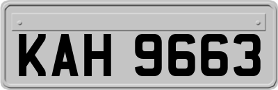 KAH9663