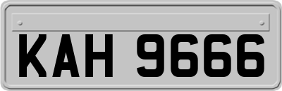 KAH9666