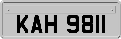 KAH9811