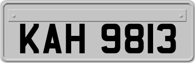 KAH9813