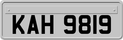 KAH9819