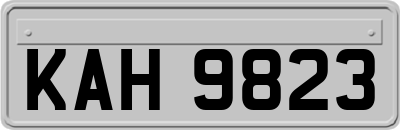 KAH9823