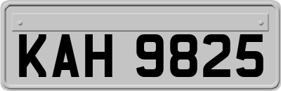 KAH9825